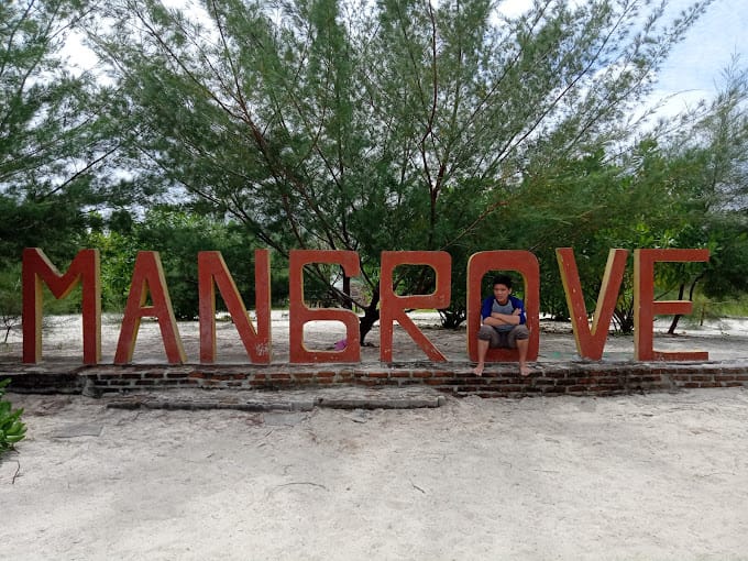 pantai mangrove